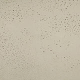 Petra Bend Coffee Table Ivory