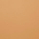 Lachlan Dining Chair Desert Sand