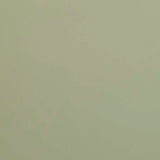 Lachlan Dining Chair Moss