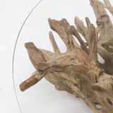 tree root glass coffee table
