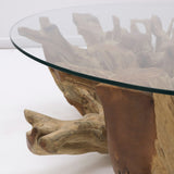 tree root glass coffee table