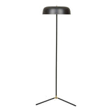 easton canopy floor lamp black